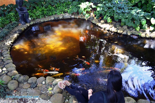 Lady and with coloful fishes