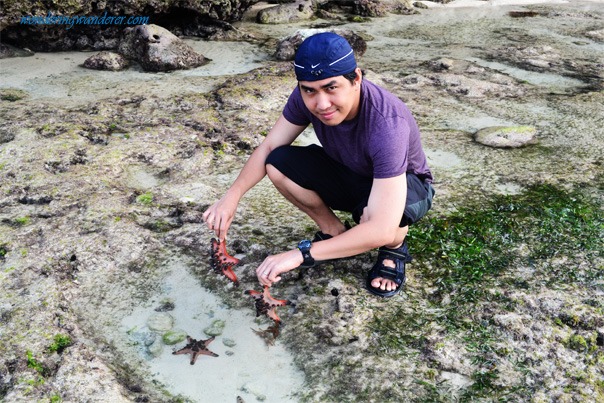 A guy holding starfish in the rocky shore of Alona Beach