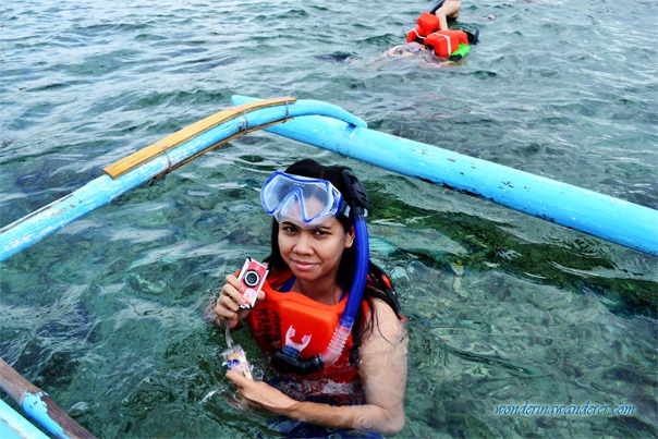 Balicasag Island Snorkeling