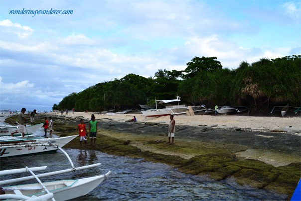 Balicasag Island's Shore Balicasag Island's Shore