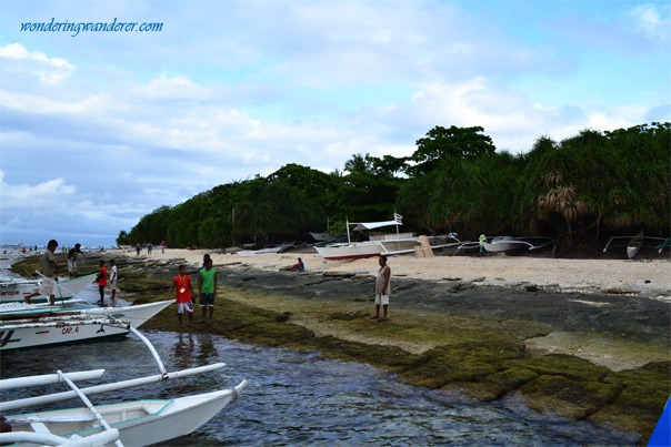 Balicasag Island's Shore