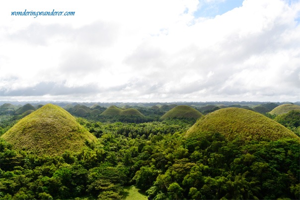 Bohol-Chocolate-Hills