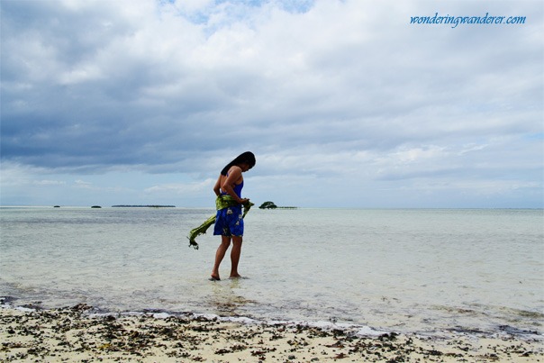 Virgin Island Bohol with Juliet1