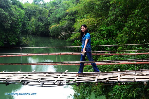 Hanging Bridge Close Up