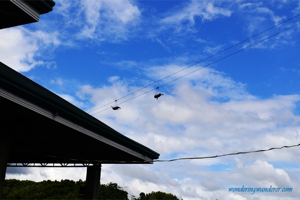 Loboc Ecotourism Adventure Park Zip line