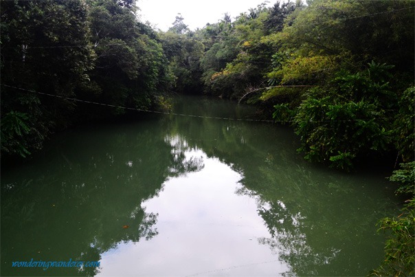 Loboc River