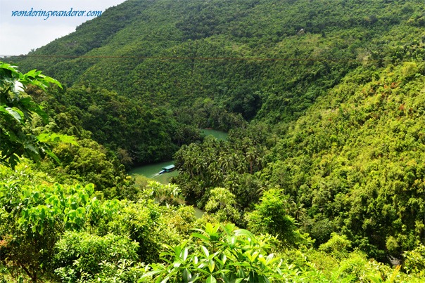 Loboc landscape