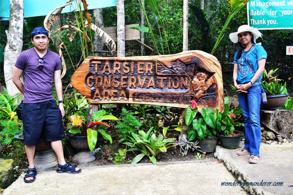 Tarsier Conservation Area - Loboc, Bohol - Philippines