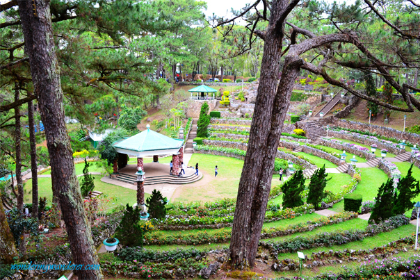 Camp John Hay Nice View