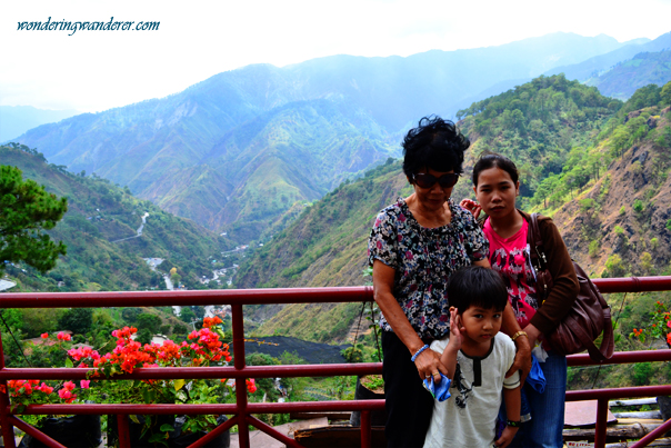 Kennon Road View Deck's Garden