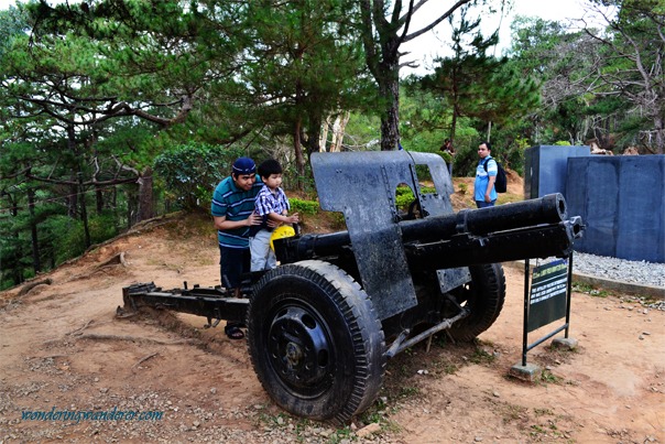 The Armed Forces Artillery Philippine Military Academy