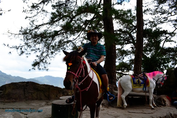 Mines View Horse with Daddy