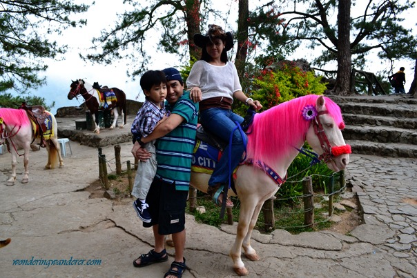 Mines View Horse with Mommy