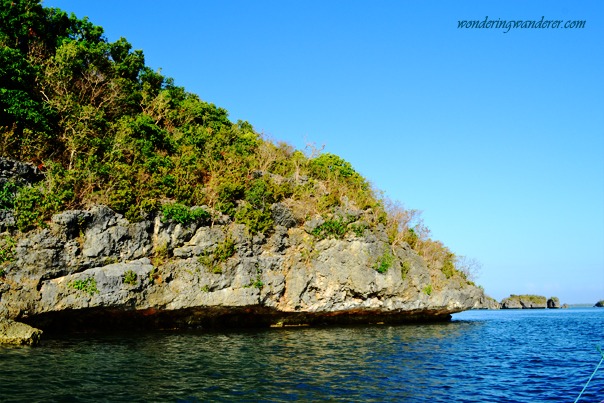 Hundred Islands National Park Stegosaurus