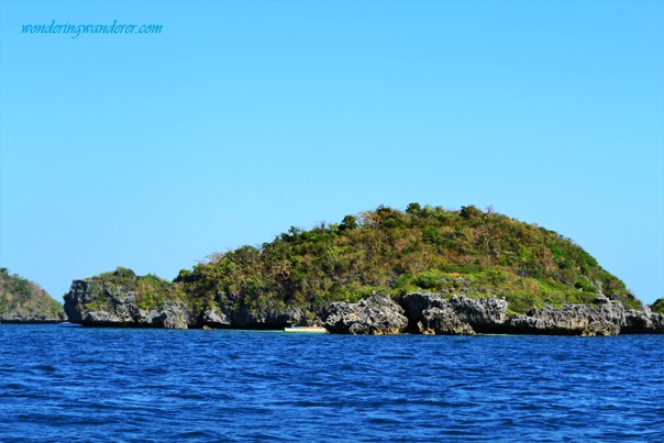 Quezon Island's Tortoise or Sperm Whale
