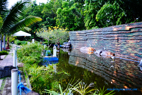 People's Park Koi Pond - Davao City