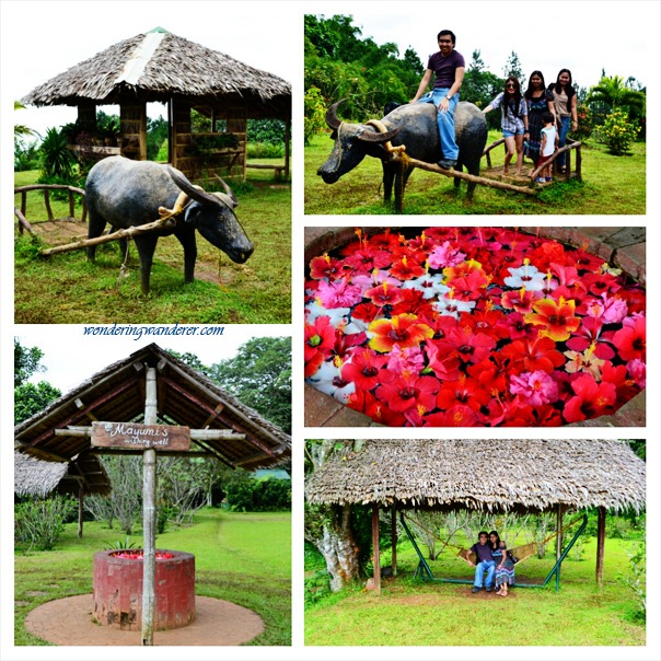 Eden Nature Park Carabao - Davao City