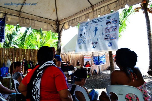 Whale Shark Interaction Guidelines - Oslob, Cebu