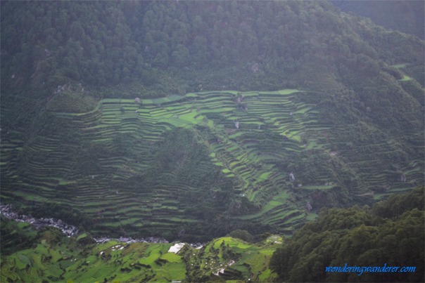 Kiltepan Rice Terraces, Mountain Province, Philippines