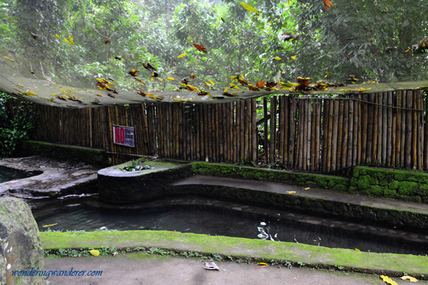 Ardent Hibok-Hibok Spring Resort last pool below