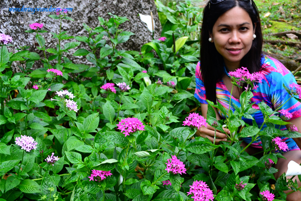 Ardent Hibok-Hibok Spring Resort flowers