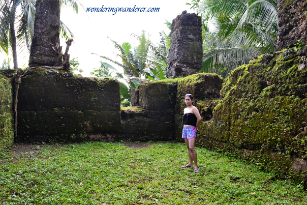 A tree's root in the wall of Guiob Church Ruins