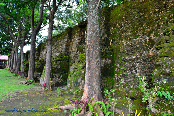 Guiob Church Ruins Trees