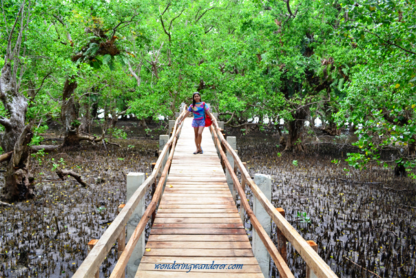 Katunggan Park's Clear Bridge