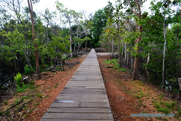 Pathway to Neak Poan - Fortune of the Kingdom - Siem Reap, Cambodia
