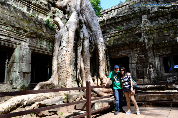 Overgrown Tree in Ta Prohm in Siem Reap, Cambodia