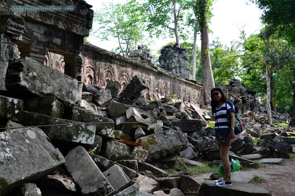 Big blocks at Ta Prohm - Siem Reap, Cambodia