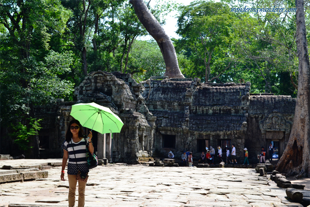 Tourists of Ta Prohm - Siem Reap, Cambodia