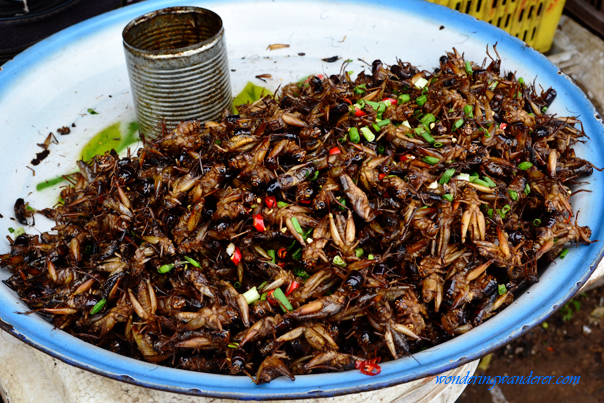 Fried crickets in Siem Reap, Cambodia