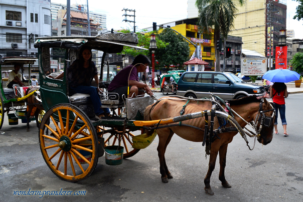 Carriage/Kalesa at Binondo Church