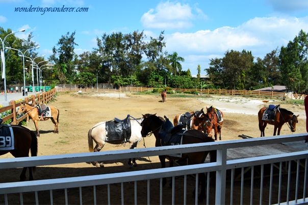 Horse-back riding at Sky Ranch - Sky fun Amusement Park - Riding Loop