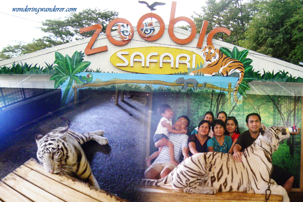 zoobic safari vs clark safari