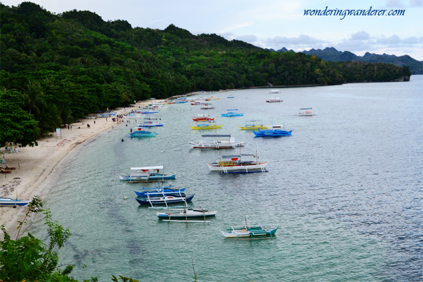 island adventures tourist inn sipalay