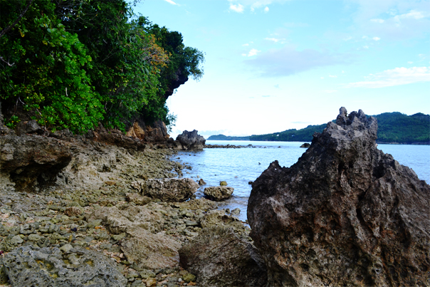 Rocky part in Maasin Island Cave - Sipalay City