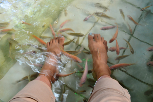 Fish Spa in Tibiao, Antique