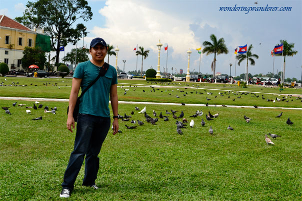 Royal Palace Park pigeons
