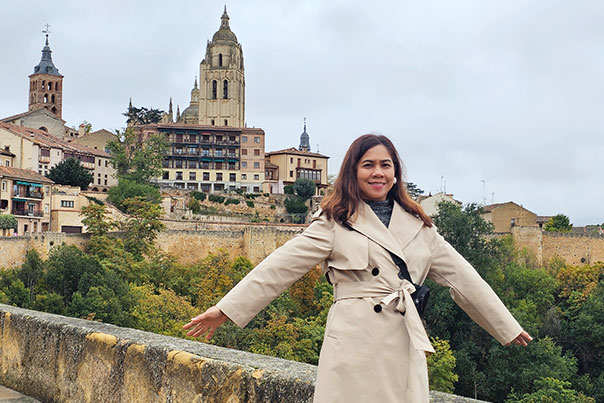 Segovia's wall and buildings - Spain