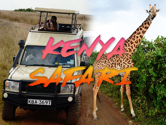Kenya safari cost cover