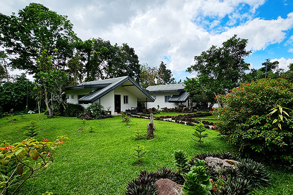 Cozy villas surrounded lush green trees and plants