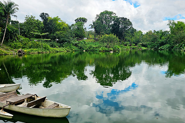 Bantug Lake Ranch peaceful lake surrounded by greenery